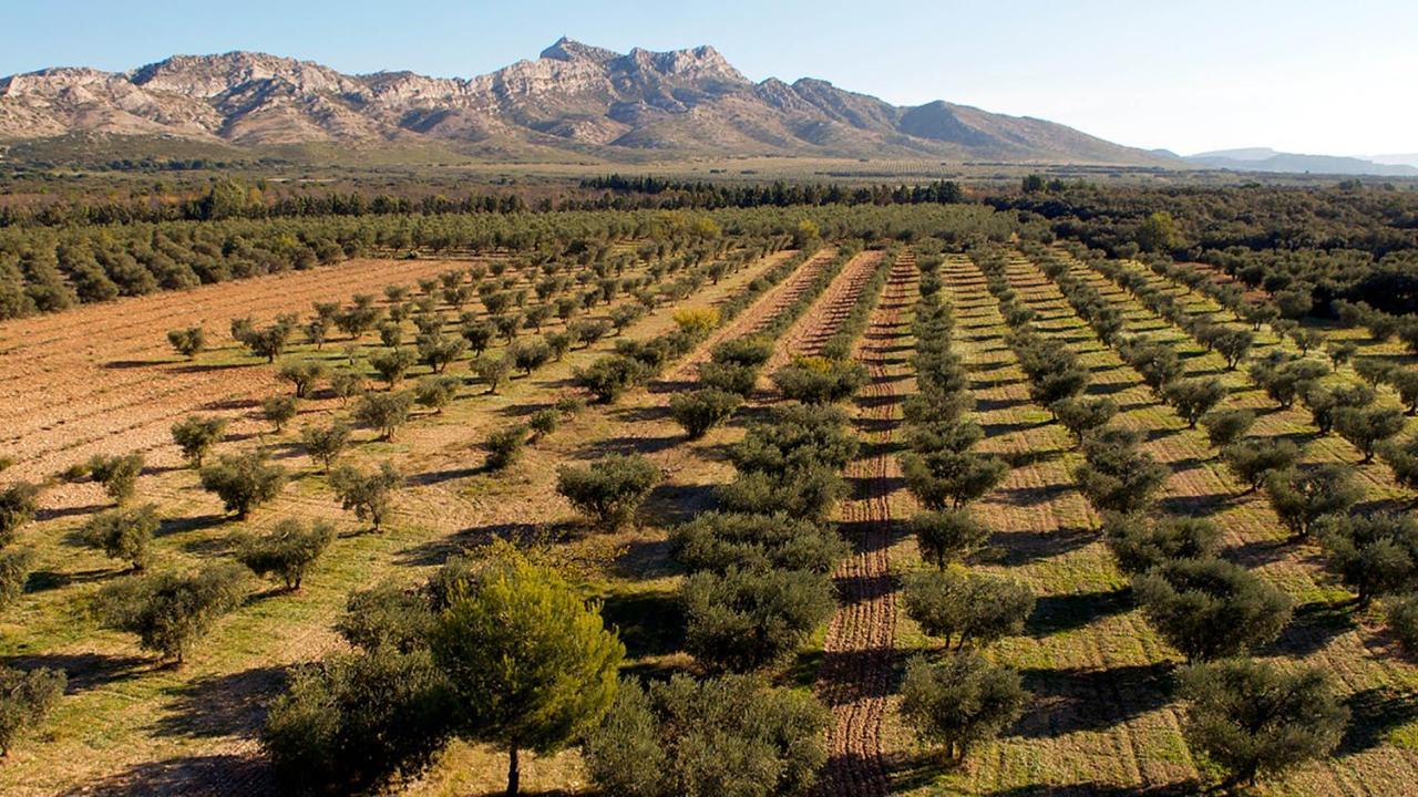 La Blanchere, Vue Golf فُدين المظهر الخارجي الصورة